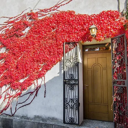 Edera Rossa